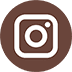 Icon Instagram Alt